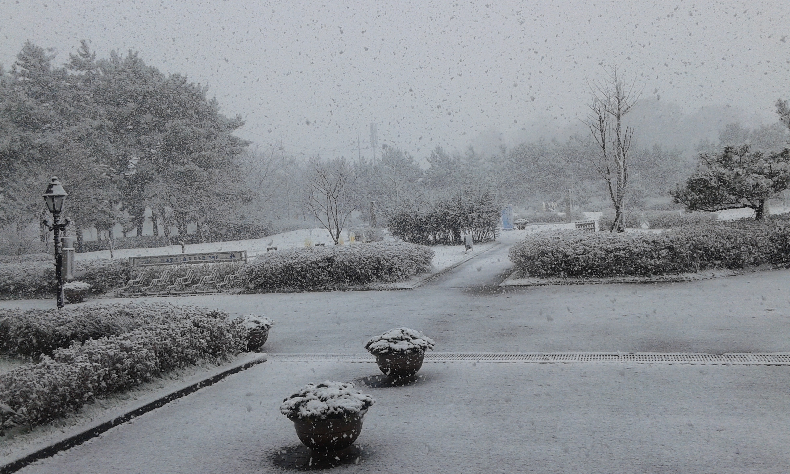 문학관에 첫눈이 오네요