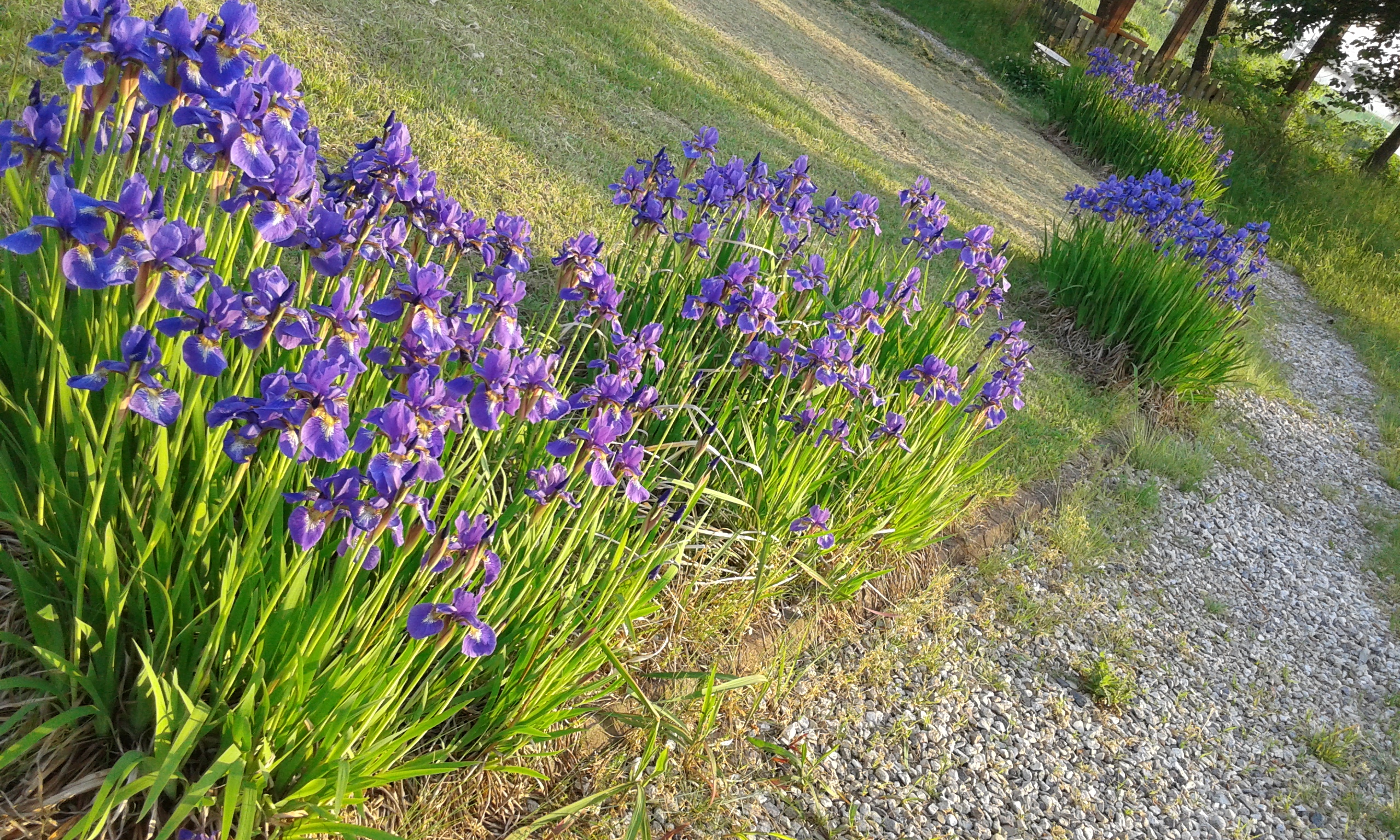 계절의 여왕 5월의 문학관