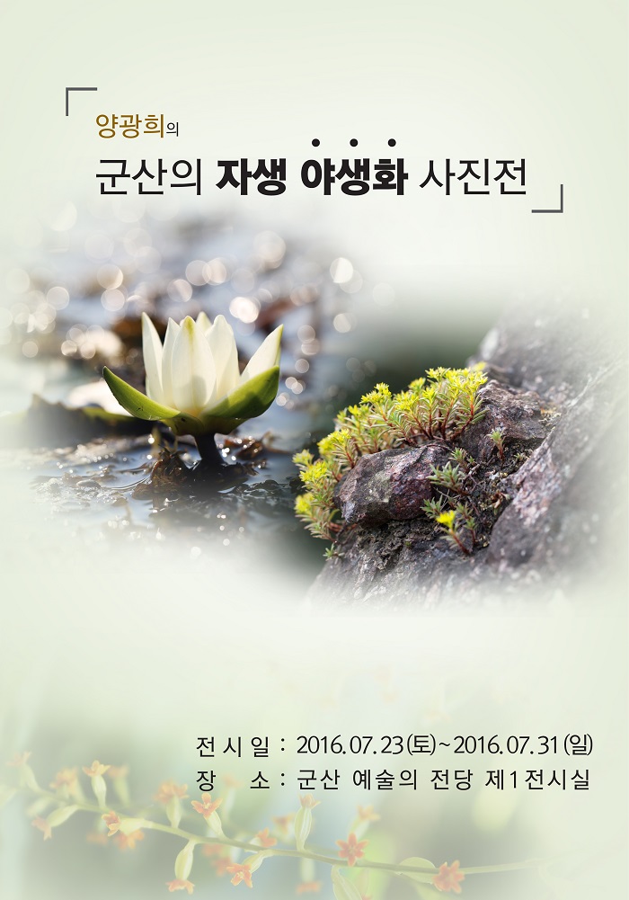 군산 자생 야생화 사진전